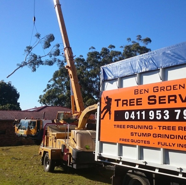 Crane truck and chipper set up at a large tree removal by Ben's Tree Service