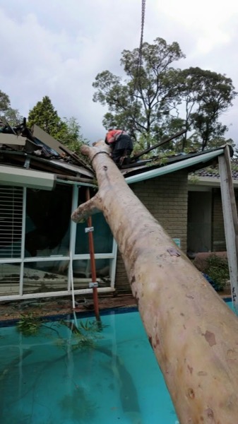 A large log handled on a roof during a storm clean-up