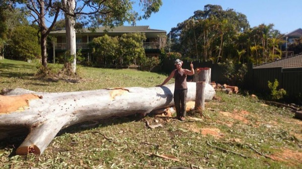 Ben beside a huge felled log after a big removal